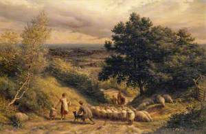 Driving Sheep: A View from Reigate, Surrey