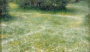 Daisies at Burnham