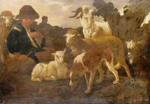 Goatherd and Goats