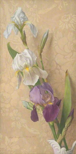 Irises