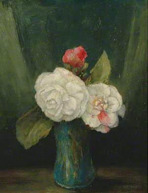 Camellias