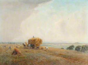 Harvest, Sussex Coast