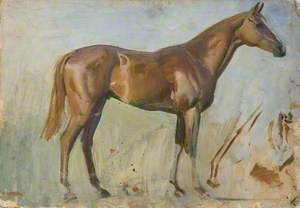 Study of a Chestnut Horse