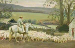 Bringing Home the Sheep, Withypool, Exmoor