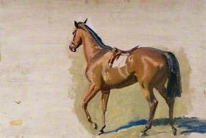 Study of a Chestnut Racehorse from the Back