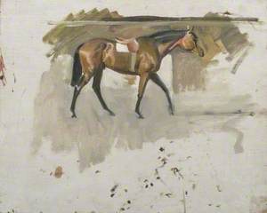 Study of a Racehorse