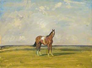 A Racehorse in a Landscape