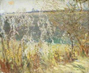 Study of Blossoms, Cornwall