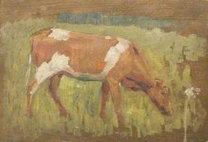 Study of a Cow Grazing