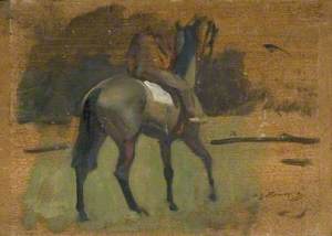 Study of a Racehorse from the Back