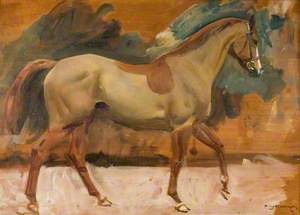 Study of 'Rufus', a Chestnut Horse, Bought at Exmoor 1951, Bred in Ireland, 16 Years Old