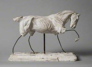 Anatomical Model of a Horse