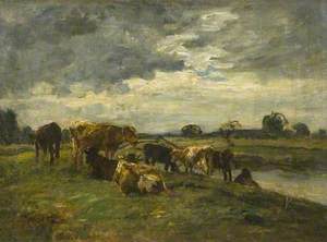Cattle at Bourne End