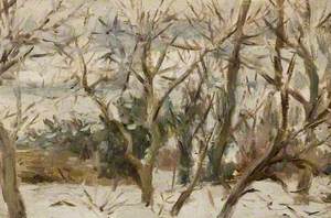 Orchard Snowscape, Felsted