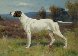 Study of a Pointer