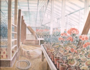 Geraniums and Carnations