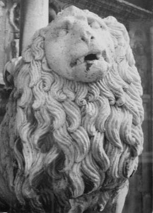 Lion – Modena
