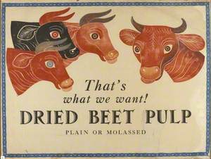 'That's what we want! DRIED BEET PULP'
