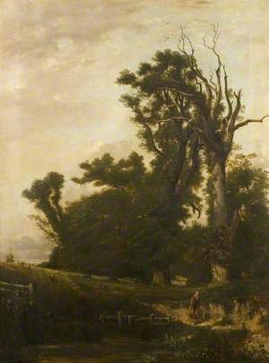 The Withered Elm, Audley End Park