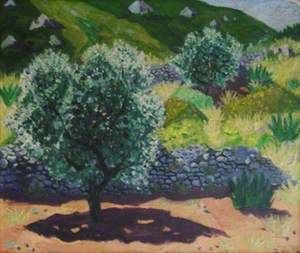 Olive Trees, Les Baux