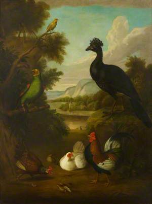 Canary, Green Parrot and Other Birds in a Landscape