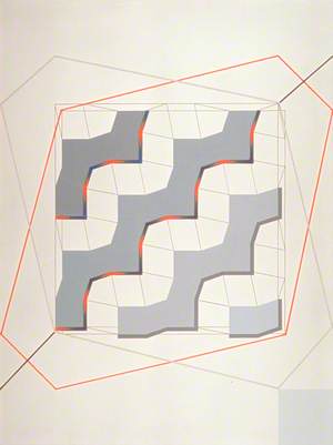 Net and Web with Planar Paths