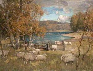 Sheep Dipping, River Dee, Kirkcudbright