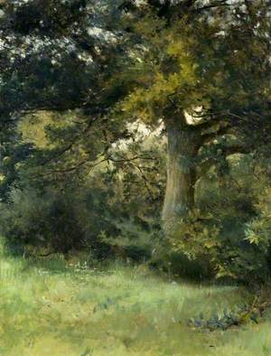 An Oak Tree, Green Hedges, East Grinstead, Sussex