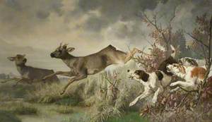 A Deer Hunt