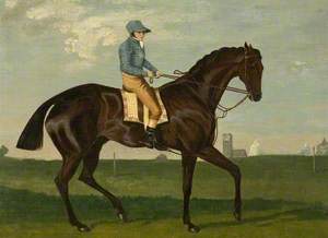 A Horse and a Jockey in a Blue Cap and Silks