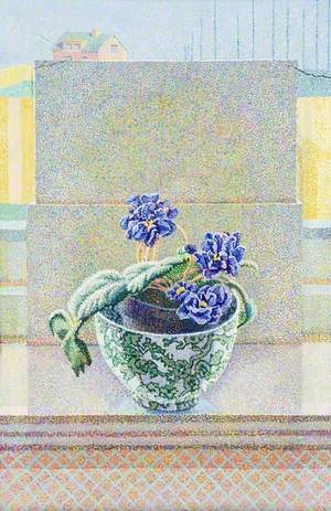 African Violet, 1981