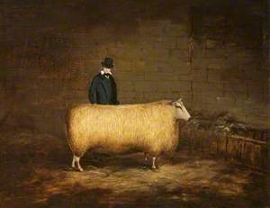 A Sheep and Its Owner