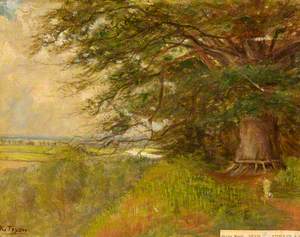 Burderop Wood, Wroughton, Wiltshire, 'Bevis, the Story of a Boy'