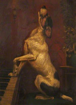 Dog Playing the Piano