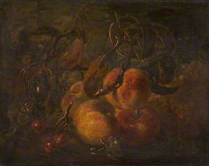 Fruit and Tendrils