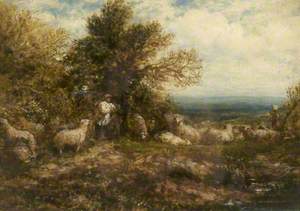 Sheep at Rest, Minding the Flock