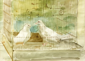 Two White Pigeons in Cage