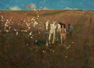 Ploughing, Early Spring