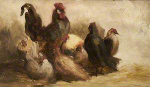 Study of Fowls