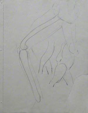 Bent Leg Showing Long Bones, Torso and Upper Legs Set in Walking Position