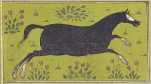 Horse Galloping in a Meadow