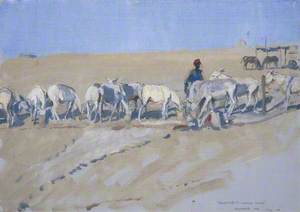 Allenby's White Mice: Feeding the Pack Donkeys: Desert Corps HQ