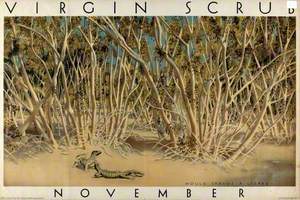 November – Virgin Scrub