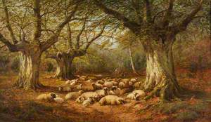 Sheep in a Wooded Landscape