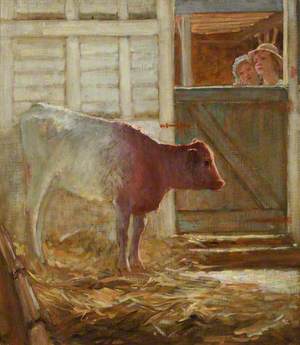 Calf in a Shed, Stovold's Farm