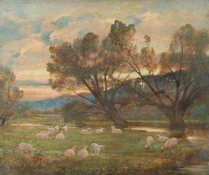 Sheep in the Meadows, Farnham