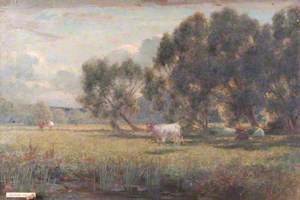Cattle in the Water Meadow