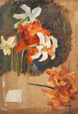 Narcissus and Orchid