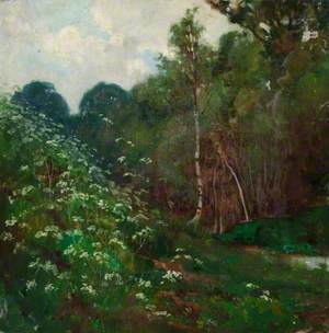 Woodland View with Stream