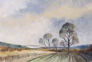 Isle of Wight Landscape